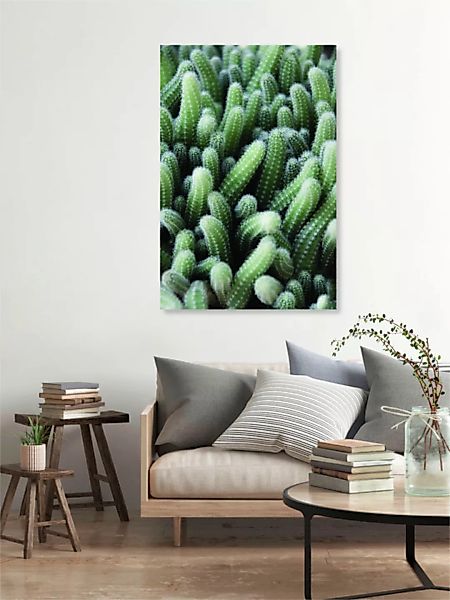 Poster / Leinwandbild - Green Cactus Garden günstig online kaufen