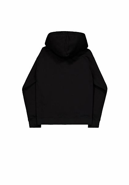 Alpha Industries Hoodie "Basic Hoodie BL" günstig online kaufen