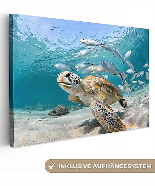 OneMillionCanvasses® Leinwandbild Schildkröte - Fisch - günstig online kaufen