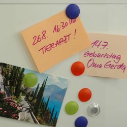 Liedeco Dekomagnet für metallische Flächen günstig online kaufen