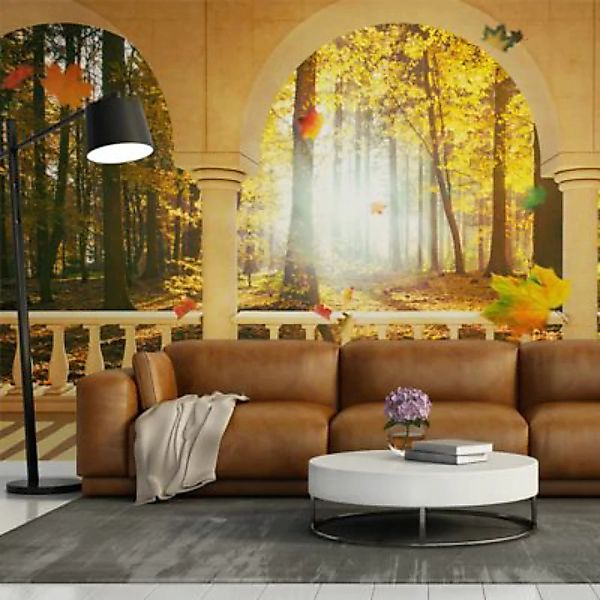 artgeist Fototapete Traum über herbstlichen Wald mehrfarbig Gr. 450 x 270 günstig online kaufen
