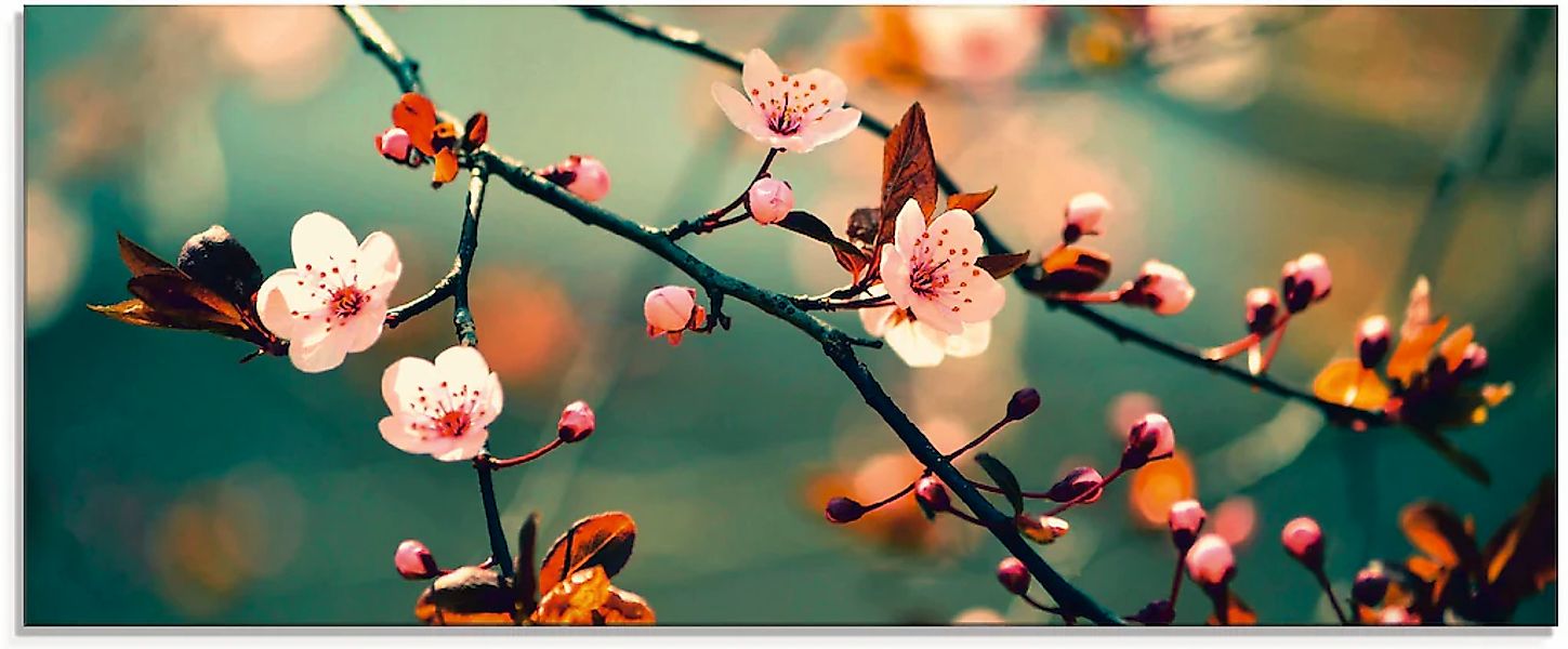 Artland Glasbild "Japanische Kirsch Sakura Blumen" 1 Stk. tlg. in verschied günstig online kaufen