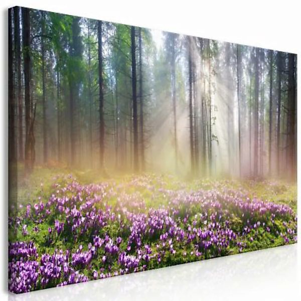 artgeist Wandbild Purple Meadow (1 Part) Wide mehrfarbig Gr. 70 x 35 günstig online kaufen