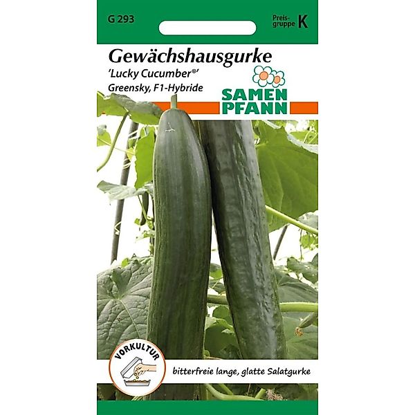 SAMEN PFANN Gewächshausgurke Lucky Cucumber Greensky F1 günstig online kaufen