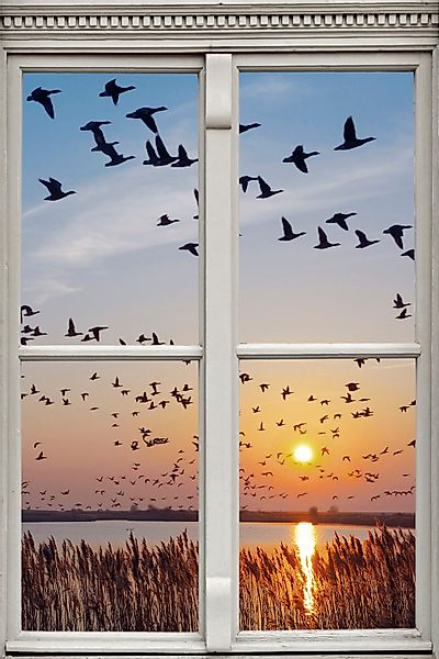 queence Wandsticker "Vogelschwarm", Wandsticker, Wandbild, selbstklebend, 3 günstig online kaufen