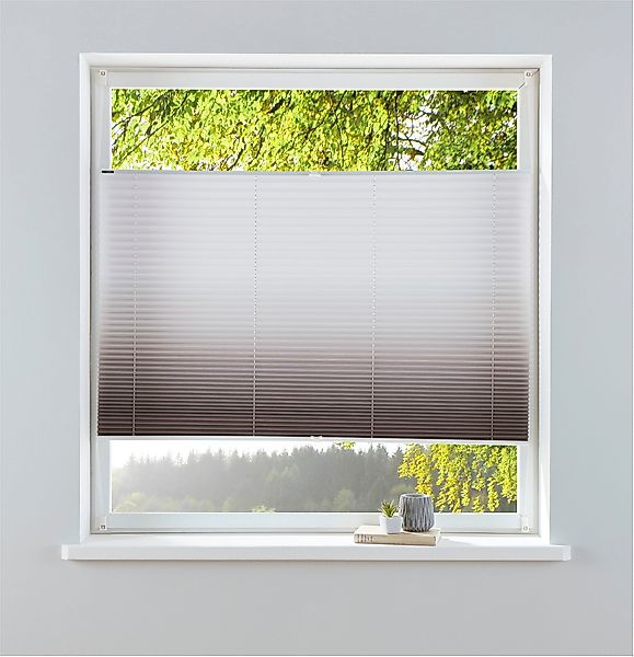 my home Plissee "Ombré" Lichtschutz ohne Bohren verspannt Fixmaß, Farbverla günstig online kaufen
