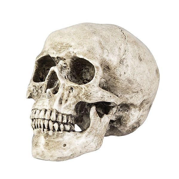 MICA Dekofigur Totenkopf - altweiß - günstig online kaufen