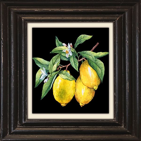 queence Leinwandbild »Zitronen«, Kunst-Obst-Stillleben-Obst Bilder, Premium günstig online kaufen