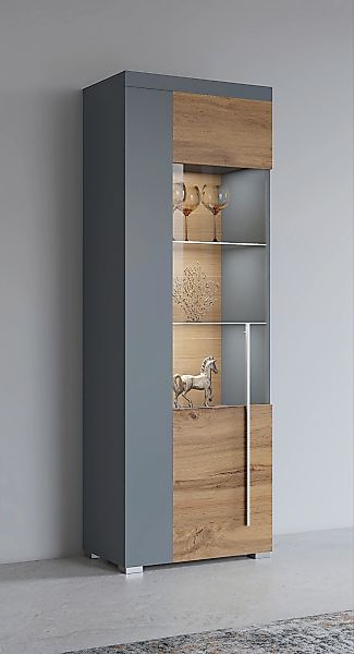 INOSIGN Vitrine "Roger,Höhe 160cm stilvolle Glasvitrine mit verstellbare Gl günstig online kaufen