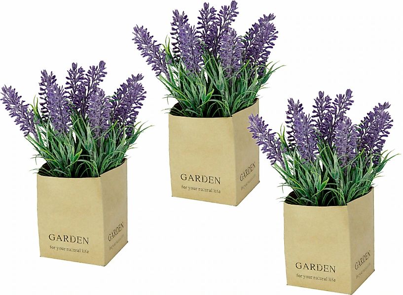Kunstblume Lavendel, I.GE.A., Höhe 20 cm, im Topf günstig online kaufen