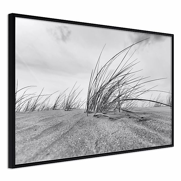 Poster - Seaside Dunes günstig online kaufen