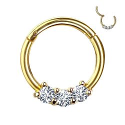 Taffstyle Nasenpiercing Piercing Segmentring Scharnier Clicker günstig online kaufen