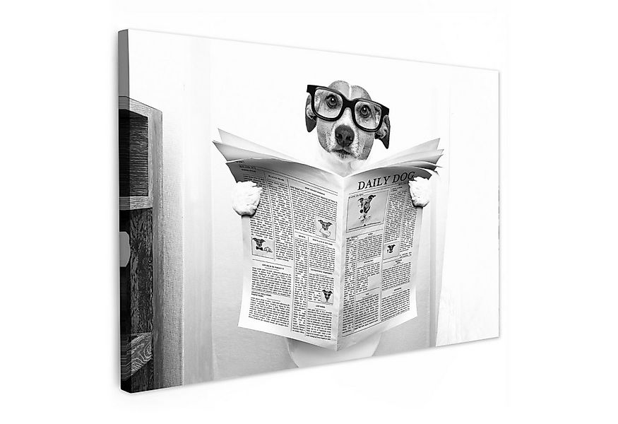 OneMillionCanvasses® Leinwandbild Hund - Zeitung - Toilette - Schwarz und w günstig online kaufen