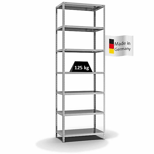 PROREGAL Fachbodenregal Schraubsystem Light-Duty Grundregal HxBxT 300 x 100 günstig online kaufen