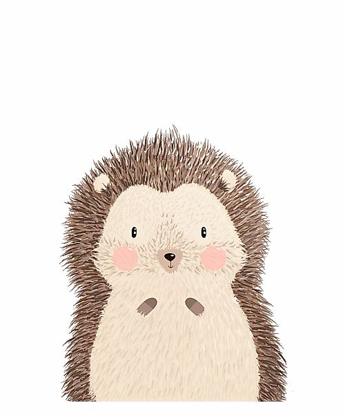 Lüttenhütt Poster "Niedlicher Igel", Tiere, (1 St.), HD Premium Druck günstig online kaufen