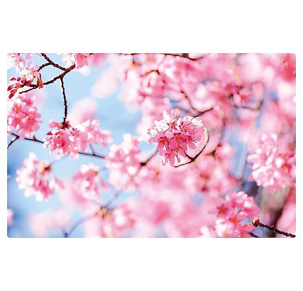 matches21 HOME & HOBBY Platzset Abwaschbares Tischset Frühling Kirsch-Blüte günstig online kaufen