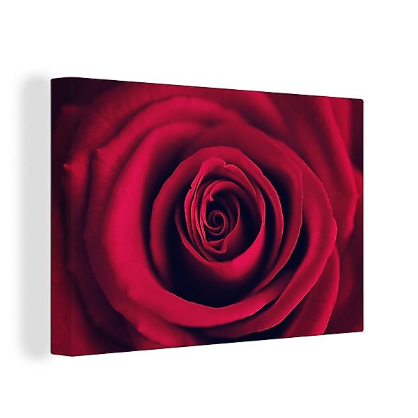 OneMillionCanvasses® Leinwandbild Rosen - Rot - günstig online kaufen