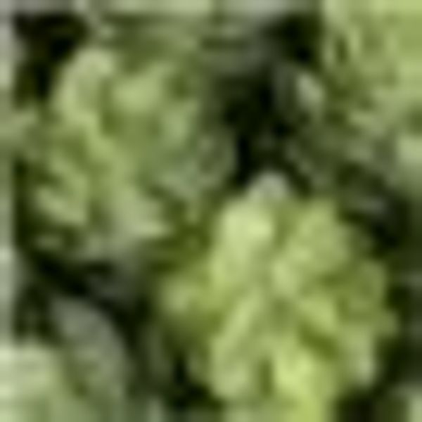 Künstliche Zimmerpflanze Hopfenkugel Hopfen, Creativ green günstig online kaufen