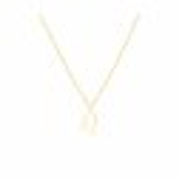 Anhänger mit Kette 925-Sterling Silber vergoldet Glänzend 42cm Löwe günstig online kaufen