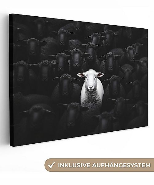OneMillionCanvasses® Leinwandbild Schafe - Weiß - Dunkelheit, Fotodruck (1 günstig online kaufen