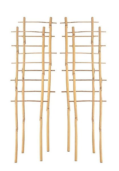 Grüner Jan Spalier 4x Bambusspalier 60cm Rankhilfe Blumenstütze Rankgitter günstig online kaufen