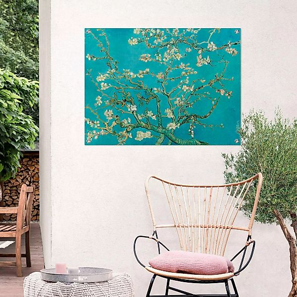 Reinders! Poster »Mandelblüte - Vincent van Gogh« günstig online kaufen