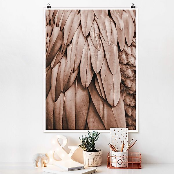 Poster Federn in Rosegold günstig online kaufen