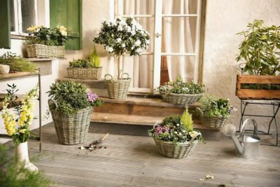 HOME Living Pflanz-Füllkorb Rattan Blumentöpfe grau günstig online kaufen