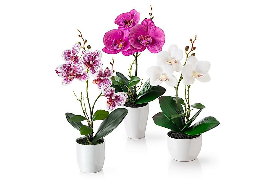Kunstorchidee 3er Set künstliche Orchideen wie echt (35cm) in Hochglanz-Ker günstig online kaufen