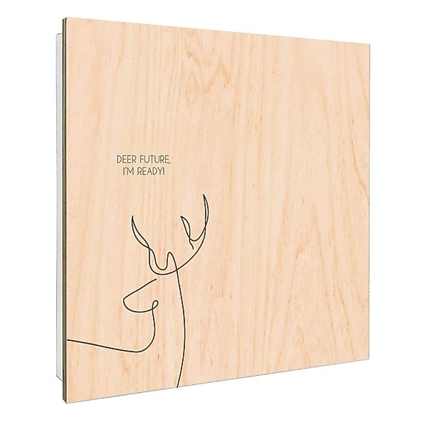 Banjado Schlüsselkasten mit Holzfront 30x30cm Weiß Scharnier Links 50 Haken günstig online kaufen