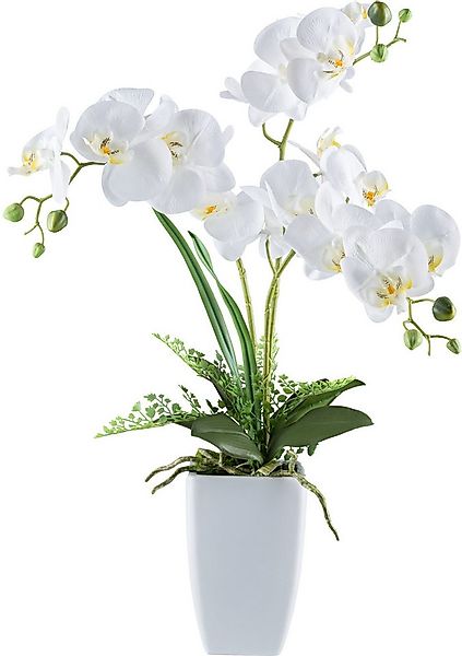 Kunstorchidee Orchidee Phalaenopsis, Creativ green, Höhe 67 cm, mit Farnzwe günstig online kaufen