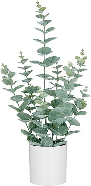 Creativ green Kunstpflanze "Eukalyptus", mit üppigem Blattwerk günstig online kaufen