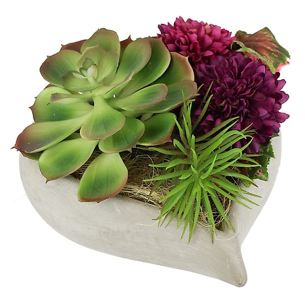 Kunstblume Succulenten/Zierkohl, I.GE.A., Höhe 16 cm, günstig online kaufen