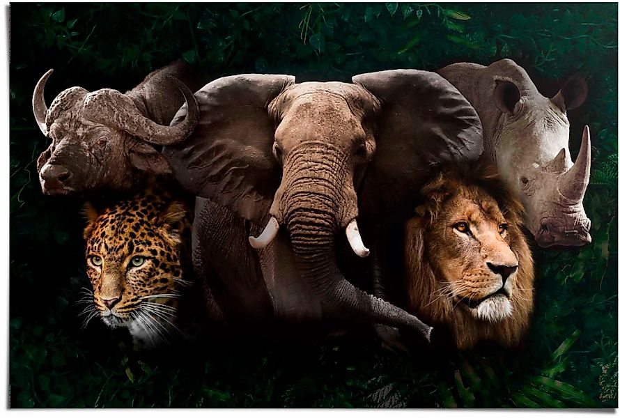 Reinders Poster "The big five" günstig online kaufen