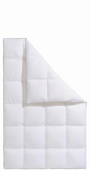 Frau Holle Daunenbettdecke "Zara, Bettdecken für Sommer oder Winter, herges günstig online kaufen