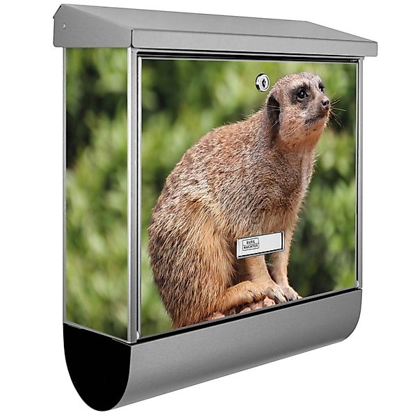 Banjado Briefkasten Edelstahl 38x39x12cm Mit Zeitungsfach Inkl. Montagemate günstig online kaufen