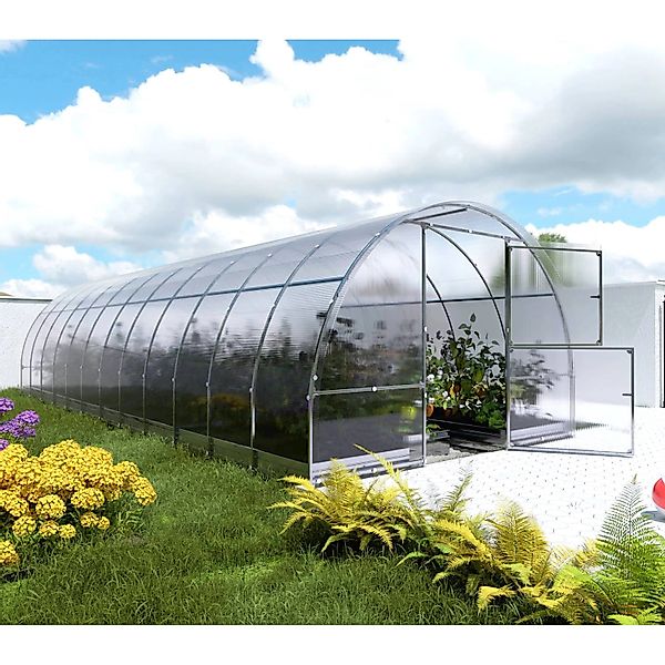 Klasika Greenhouses Easy*KLASIKA Gewächshaus 24m², 3m x 8m mit 4 mm Polycar günstig online kaufen