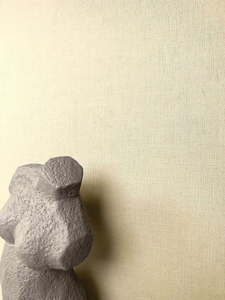 Newroom Vliestapete, Beige Tapete Uni Einfarbig günstig online kaufen