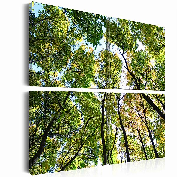 Wandbild - Treetops günstig online kaufen