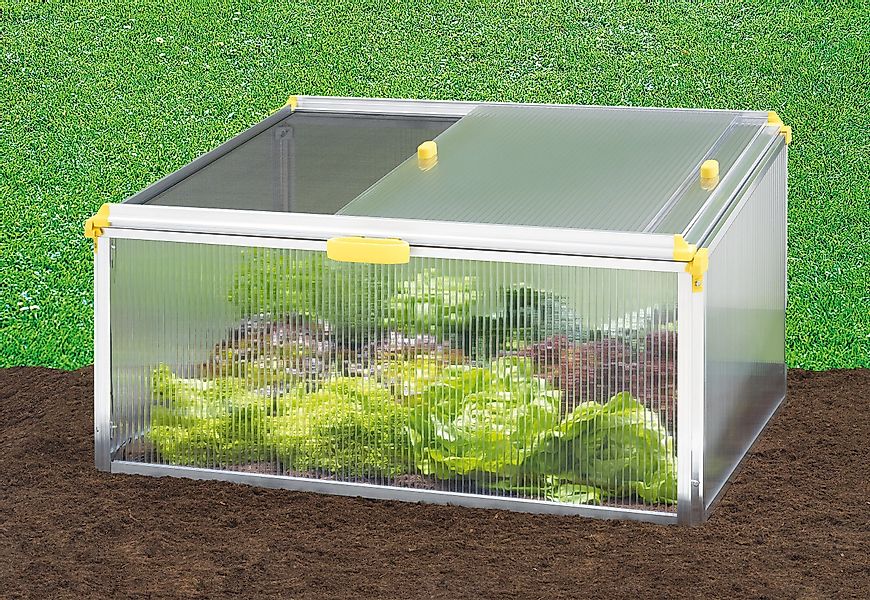 Juwel Frühbeet Juwel Gewächshaus Frühbeet Bio günstig online kaufen