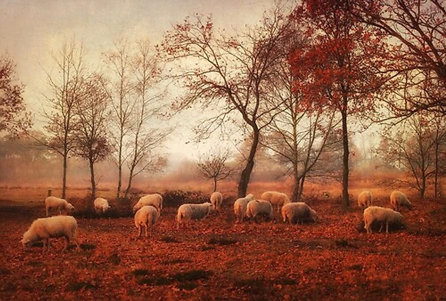 Papermoon Fototapete »Photo-Art ELLEN VAN DEELEN, LETZTE TAGE DES HERBSTES« günstig online kaufen