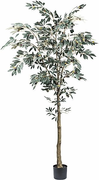 Creativ green Kunstbaum "Olive", mit detailgetreuer Gestaltung günstig online kaufen