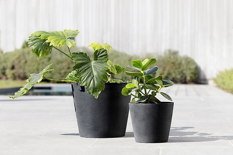 ECOPOTS Blumentopf AMSTERDAM Dark Grey, BxTxH: günstig online kaufen