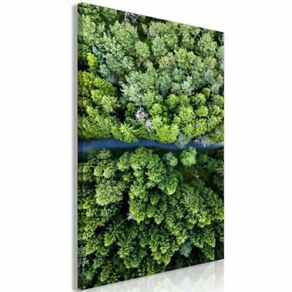 artgeist Wandbild Road Through Forest (1 Part) Vertical grau/grün Gr. 40 x günstig online kaufen