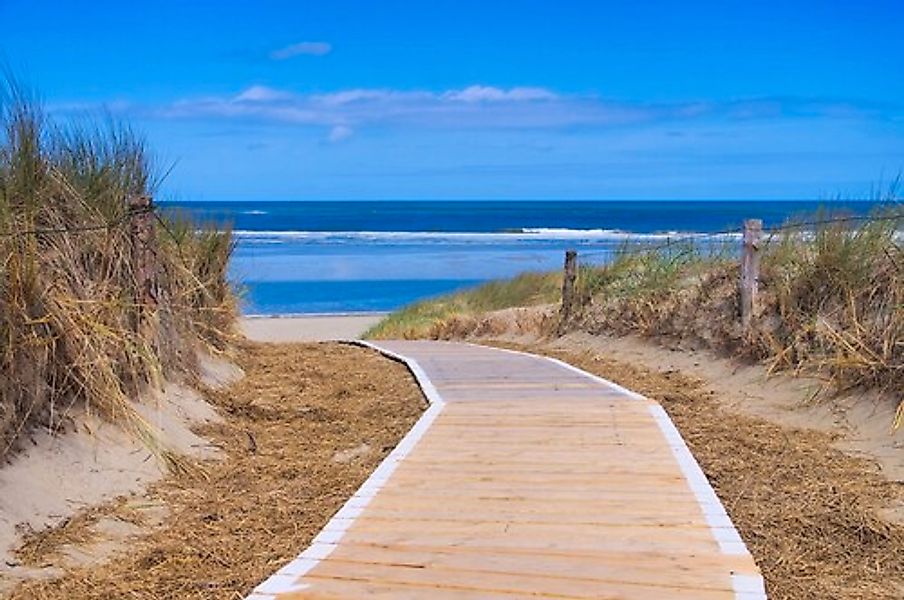 Papermoon Fototapete »Langeoog Dunes« günstig online kaufen