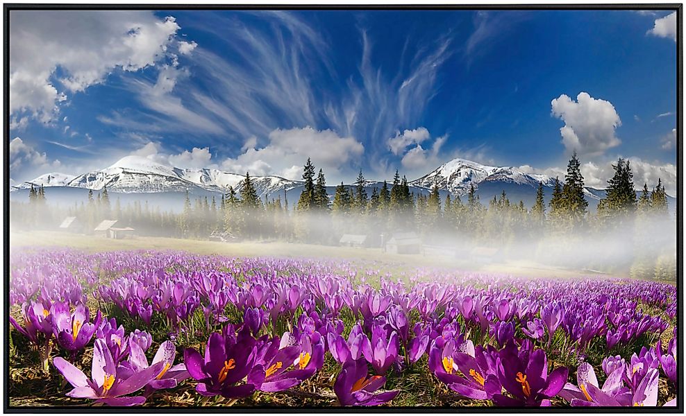 Papermoon Infrarotheizung »Karpatengebirgsblumen«, sehr angenehme Strahlung günstig online kaufen
