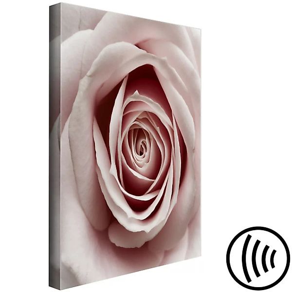 Wandbild Pastel Rose (1 Part) Vertical XXL günstig online kaufen