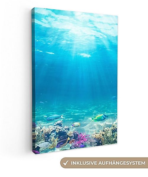 OneMillionCanvasses® Leinwandbild Unterwasserwelt - Meerestiere - Wasser - günstig online kaufen