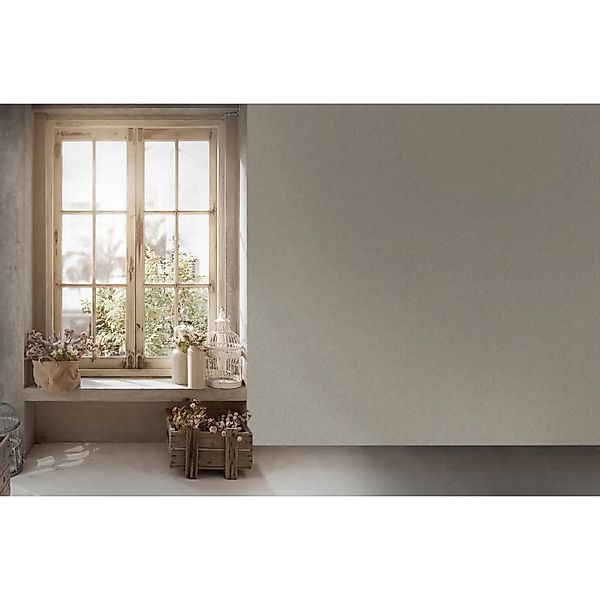 Livingwalls Tapete Uni Weiß und Grau 53 cm x 10,05 m AS-387013 günstig online kaufen