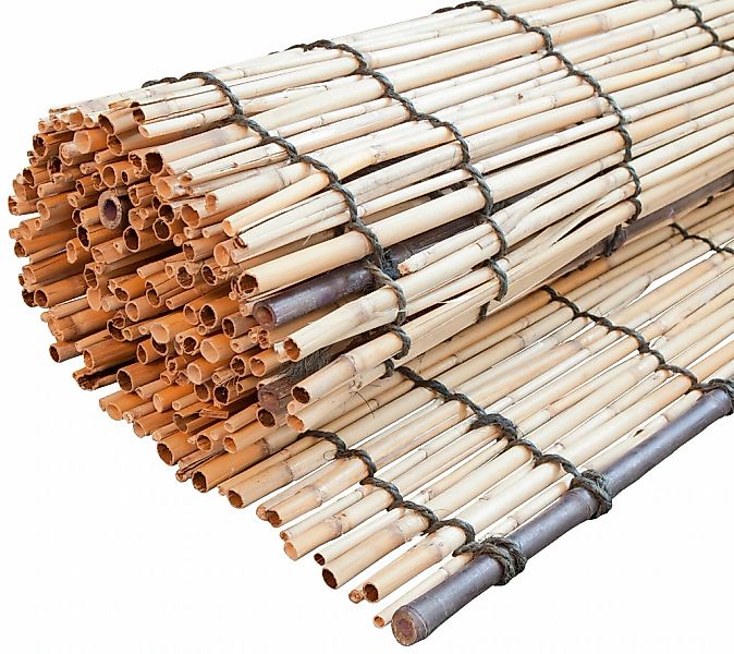 Windhager Sichtschutzzaunmatten naturbelassenes Schilf mit Bambus-Verstärku günstig online kaufen
